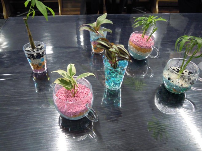綺麗でかわいい観葉植物の鉢を作成 就労移行支援事業所ティオ新大牟田 ティオ築町