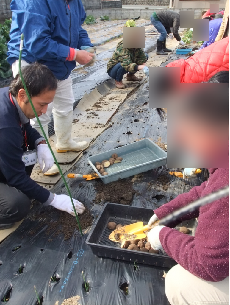 春が待ち遠しいっ！立春後初の農業体験プログラム開催ですっ♪のイメージ画像