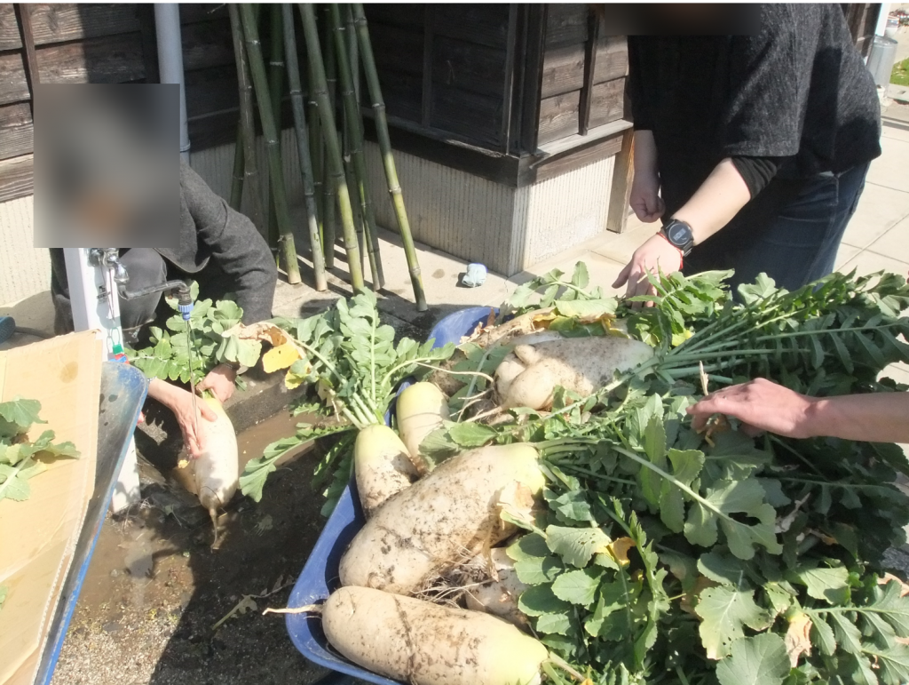 ポカポカ陽気の中、ティオ恒例の農業体験プログラムですっヾ(*´∀｀*)ﾉのイメージ画像