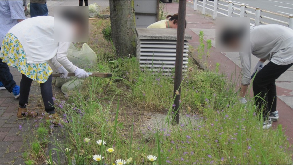 みんなで除草♪のイメージ画像