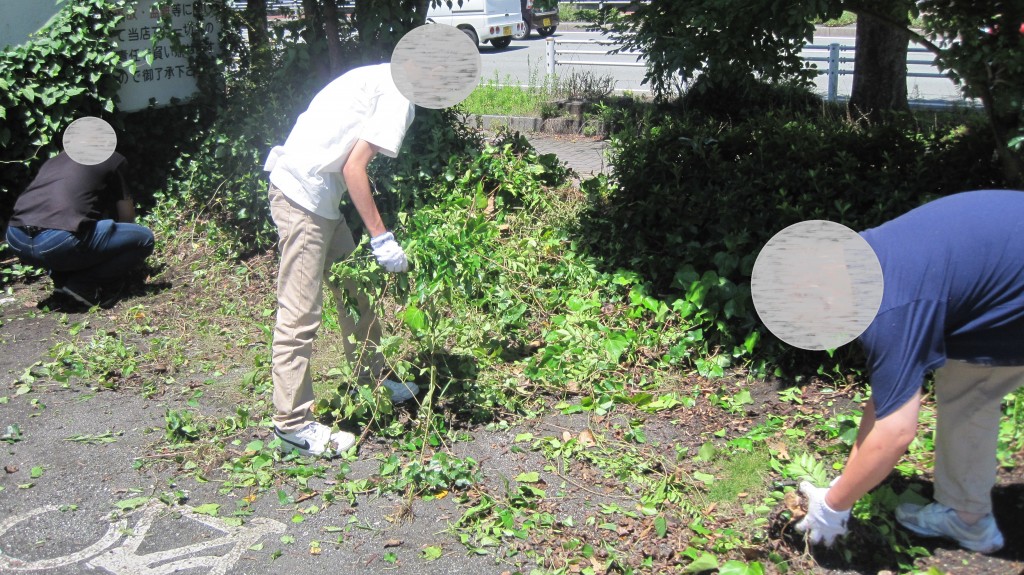 ティオ築町【除草作業】の様子です！のイメージ画像