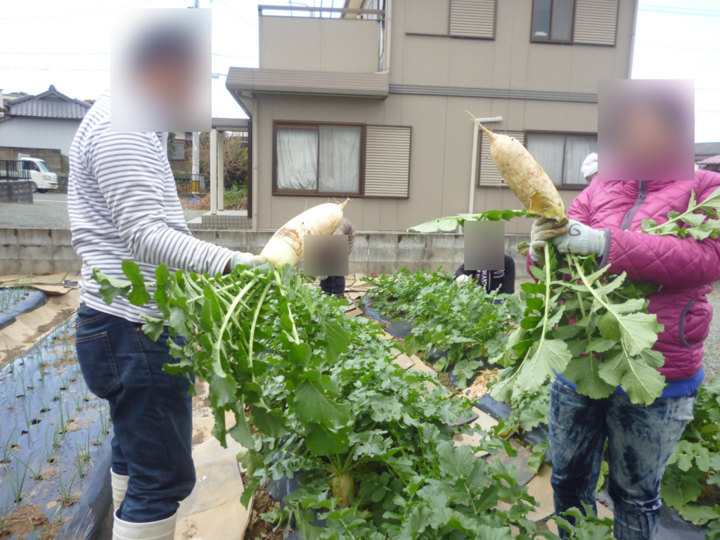 NPO法人ありあけ子育て支援センターご協力のもと、ティオ恒例の農業体験プログラムを開催しましたっ！！！のイメージ画像