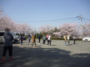 桜を見に行こう！ウォーキング