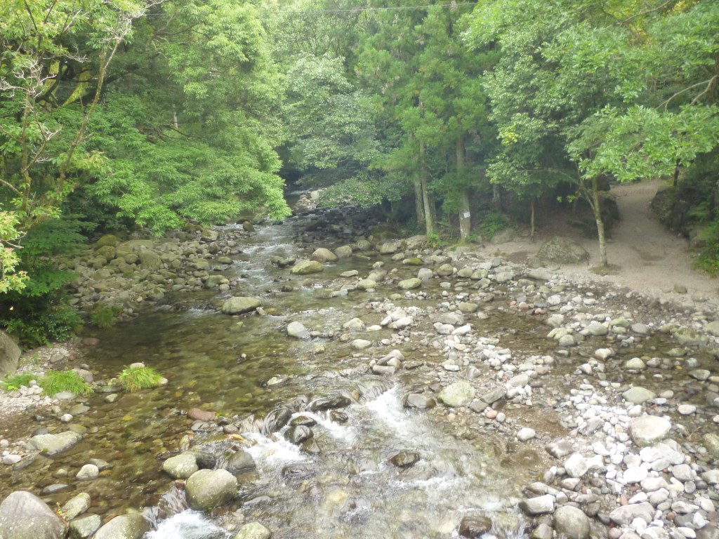 暑さも吹き飛ぶ涼みイベントを開催しました????のイメージ画像