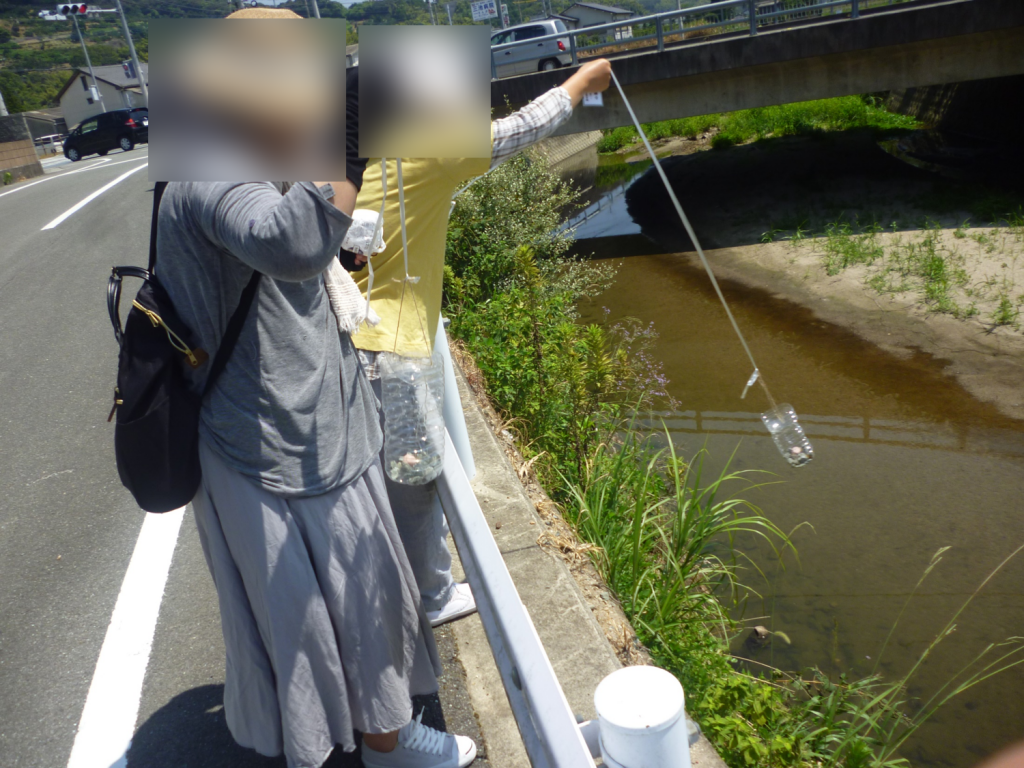 大牟田の川に魚はいるかっ！？淡水魚捕獲大作戦☆のイメージ画像