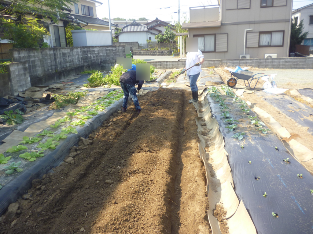 秋晴れの一日☀絶好の農業体験日和でしたっ🎶のイメージ画像