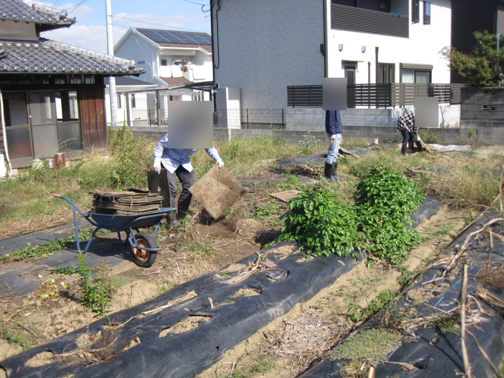 お久しぶりの農業体験です☀のイメージ画像