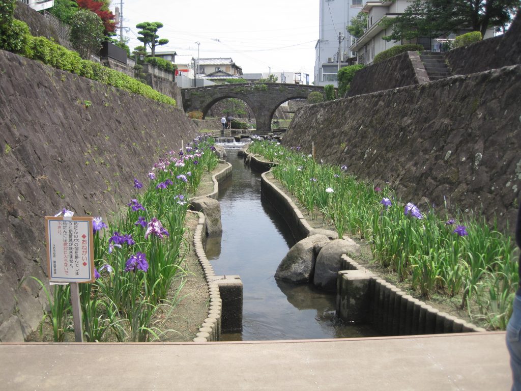 菖蒲観察ウォーキングでリフレッシュ＆体力向上☆のイメージ画像