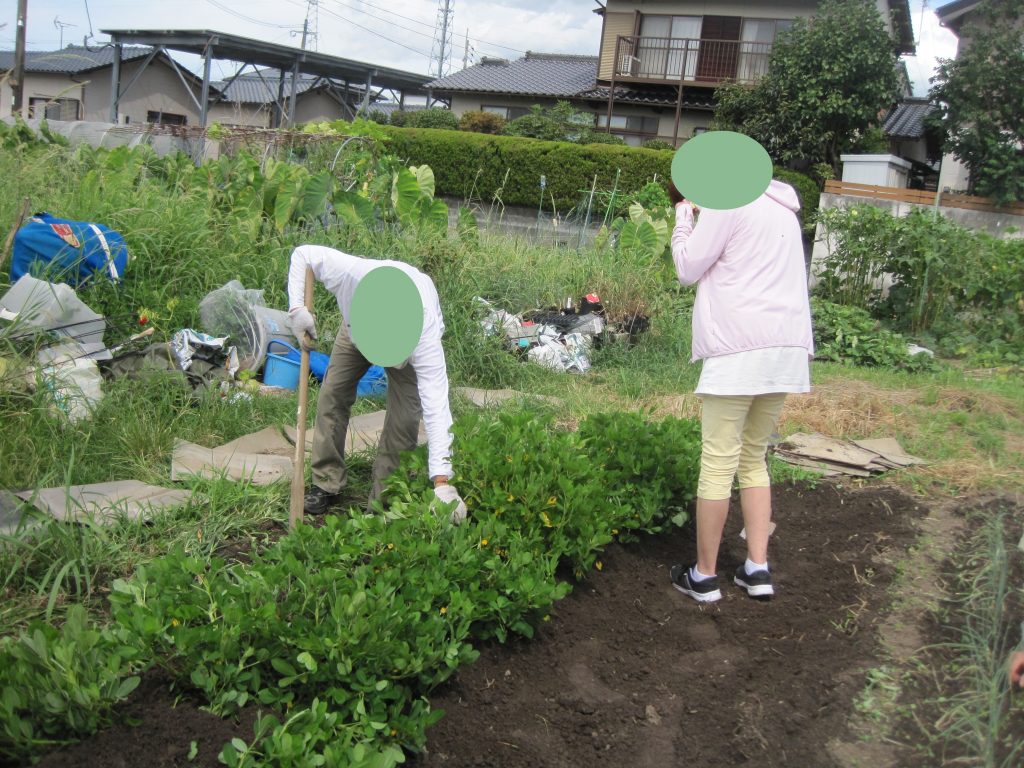 みんなで協力して作業を進めよう🌼農業体験プログラム(^^♪のイメージ画像