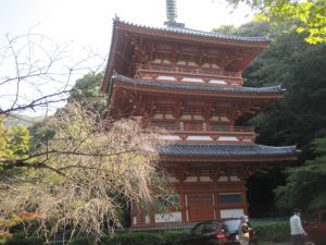 みやまオルレを歩いて体力向上⛰🏃💨のイメージ画像