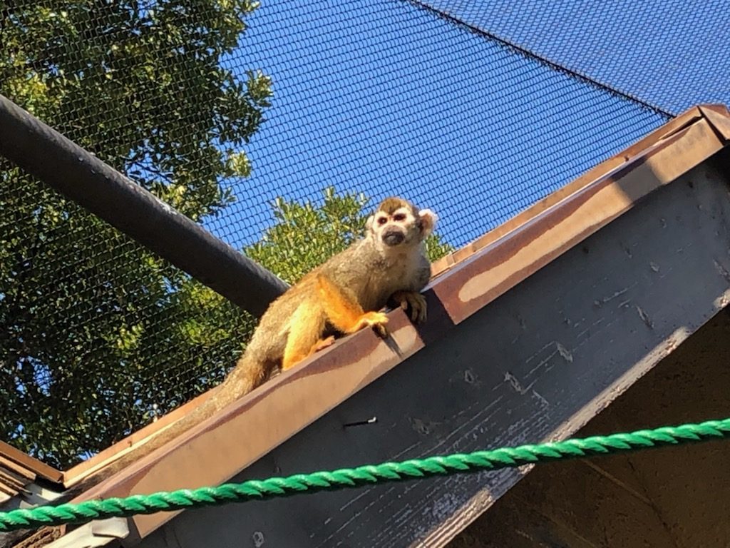 皆で体力向上！秋の動物園を尋ねてみよう🐰のイメージ画像