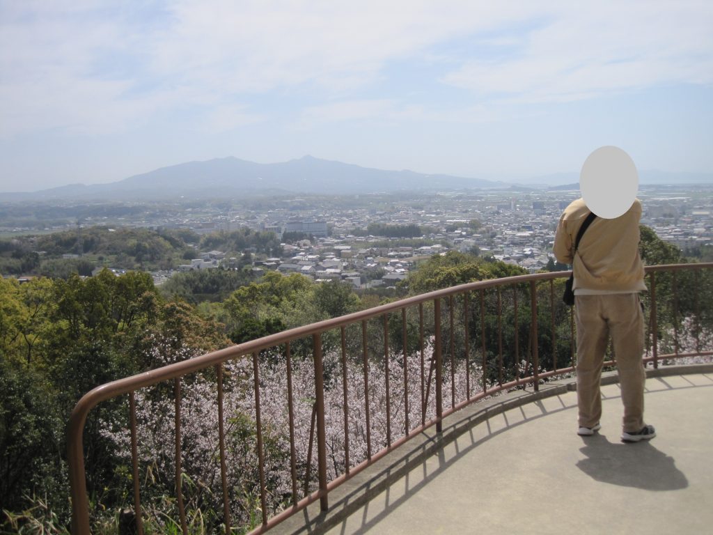 🌸お弁当を持ってお花見へ🌸のイメージ画像