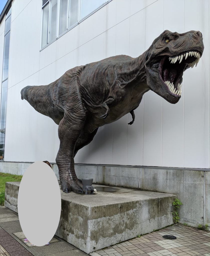 🦕恐竜博物館のご紹介🦖のイメージ画像