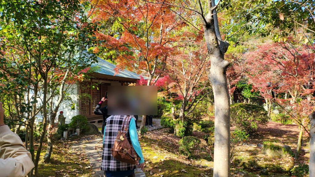 秋といえば、紅葉！紅葉狩り♪のイメージ画像