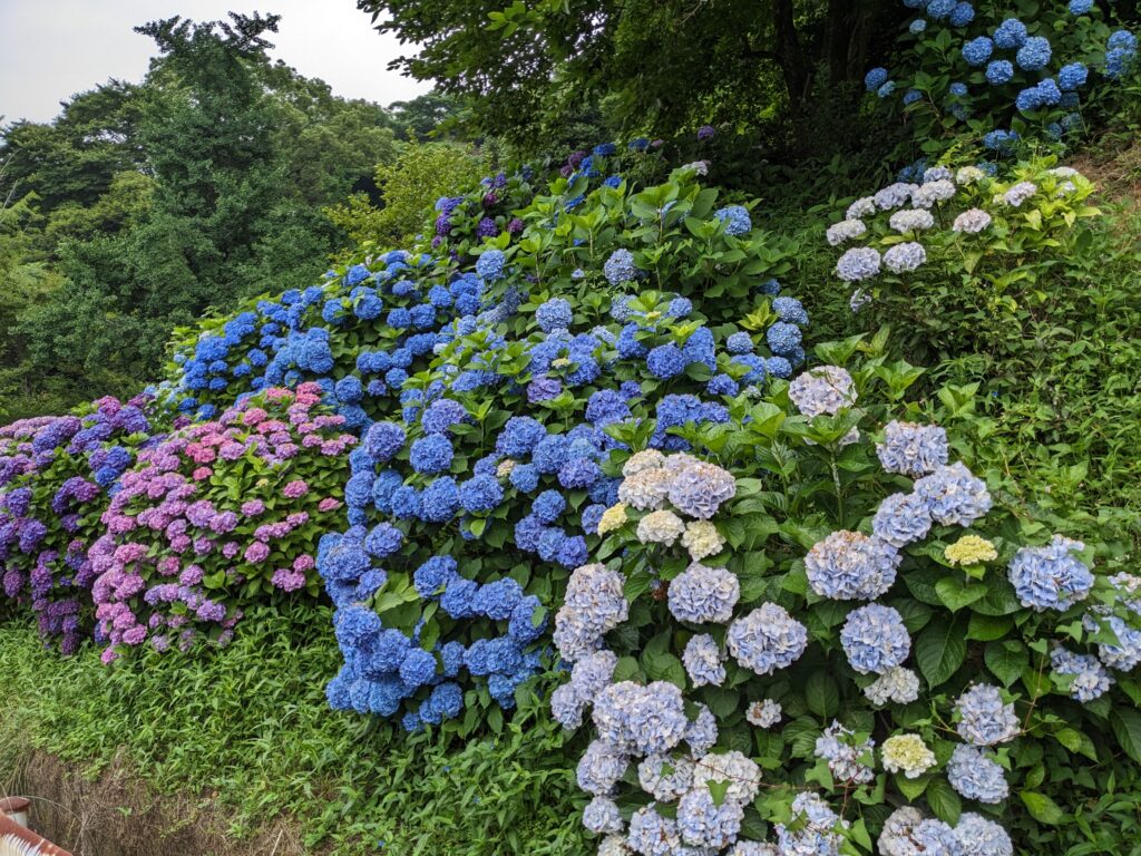 雨の日の過ごし方☔のイメージ画像