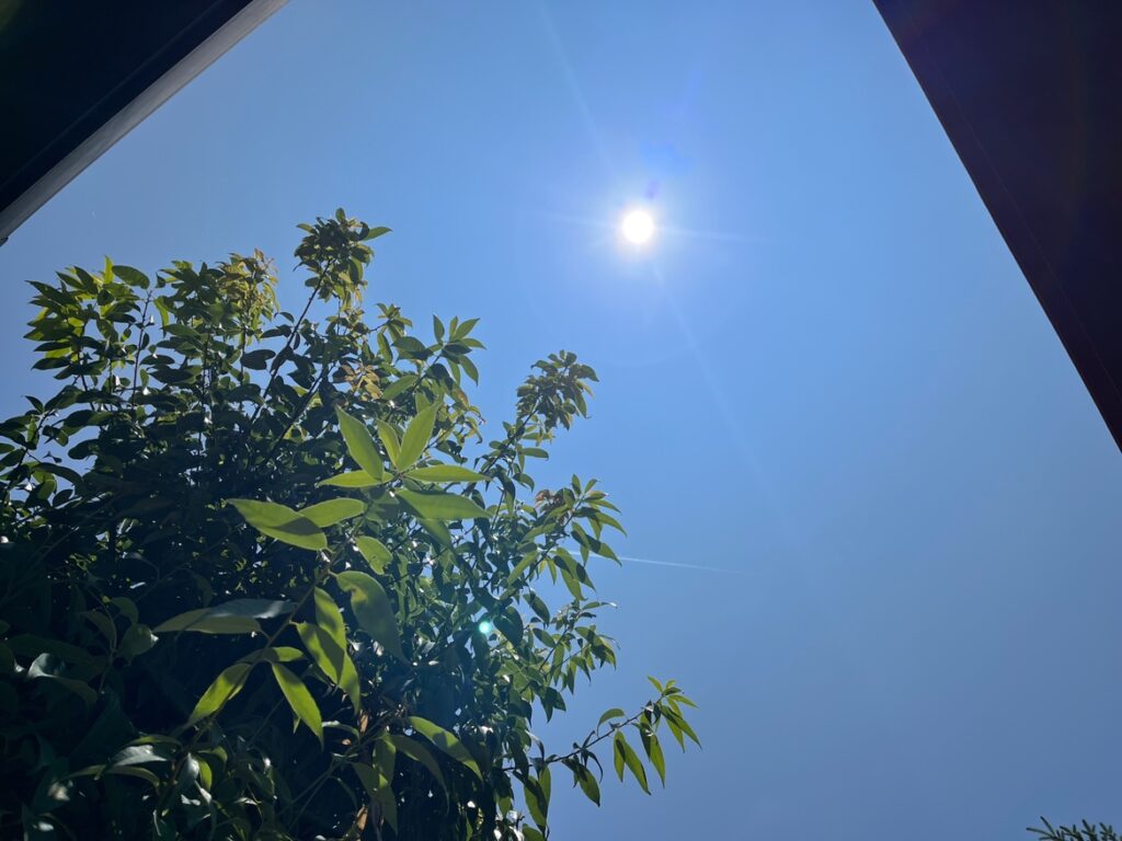 最高気温は何度？？🌞のイメージ画像