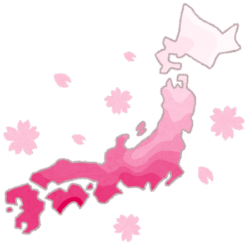 桜の開花が発表されました🌺のイメージ画像