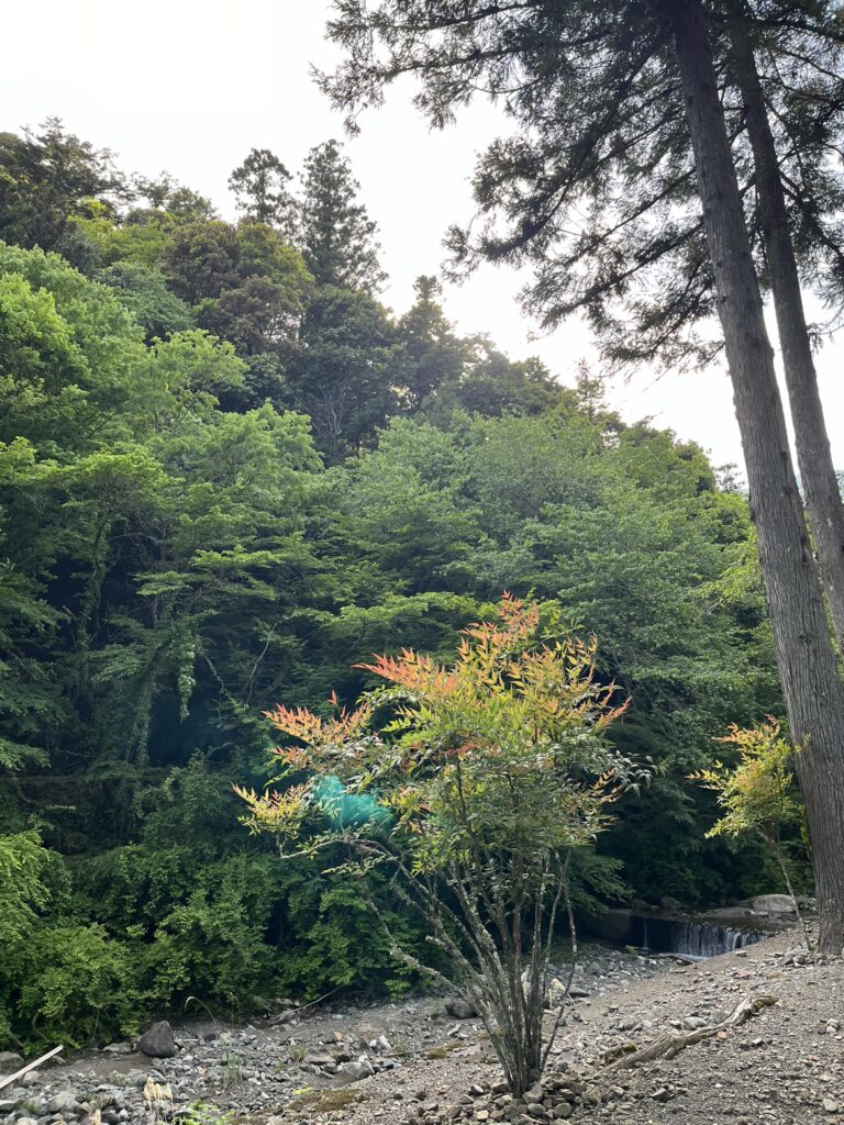 世界一の山に登った日⛰✨のイメージ画像