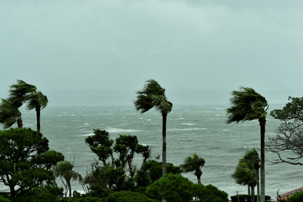 台風、今年はまだ九州には来ていませんね…🌀のイメージ画像