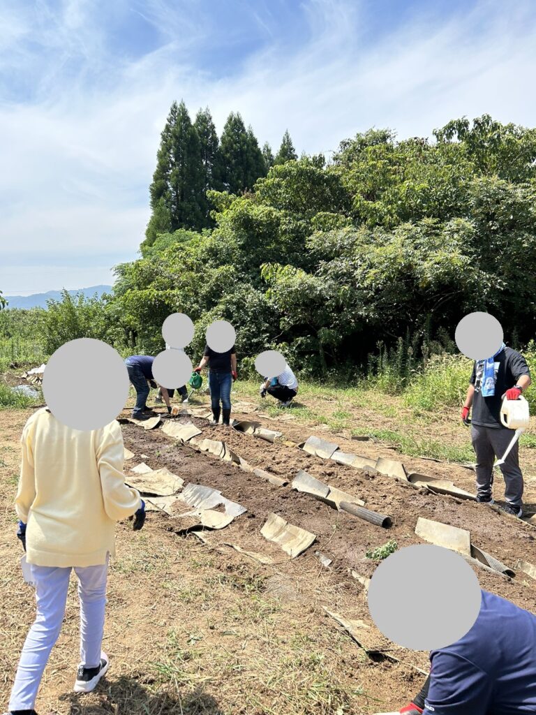 体力向上★農業体験🌱のイメージ画像