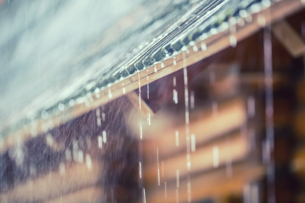 大雨の日こそ訓練の力を試すチャンス 〜就労に必要な「通い続ける力」〜のイメージ画像
