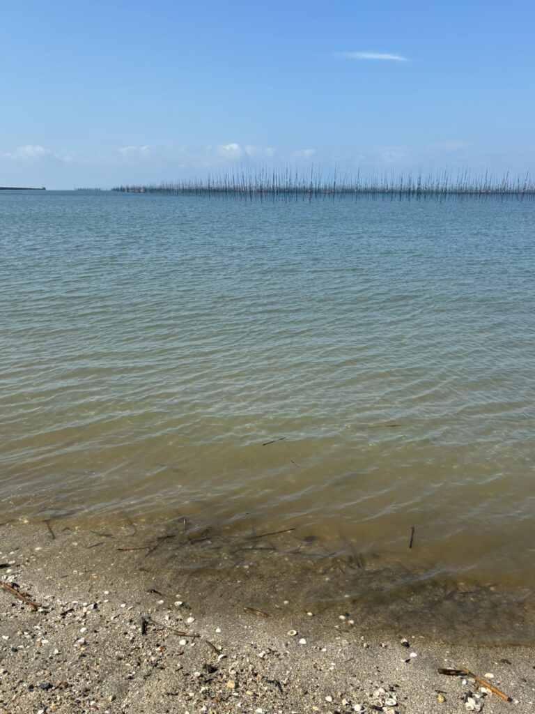 秋の海辺散策🌴のイメージ画像