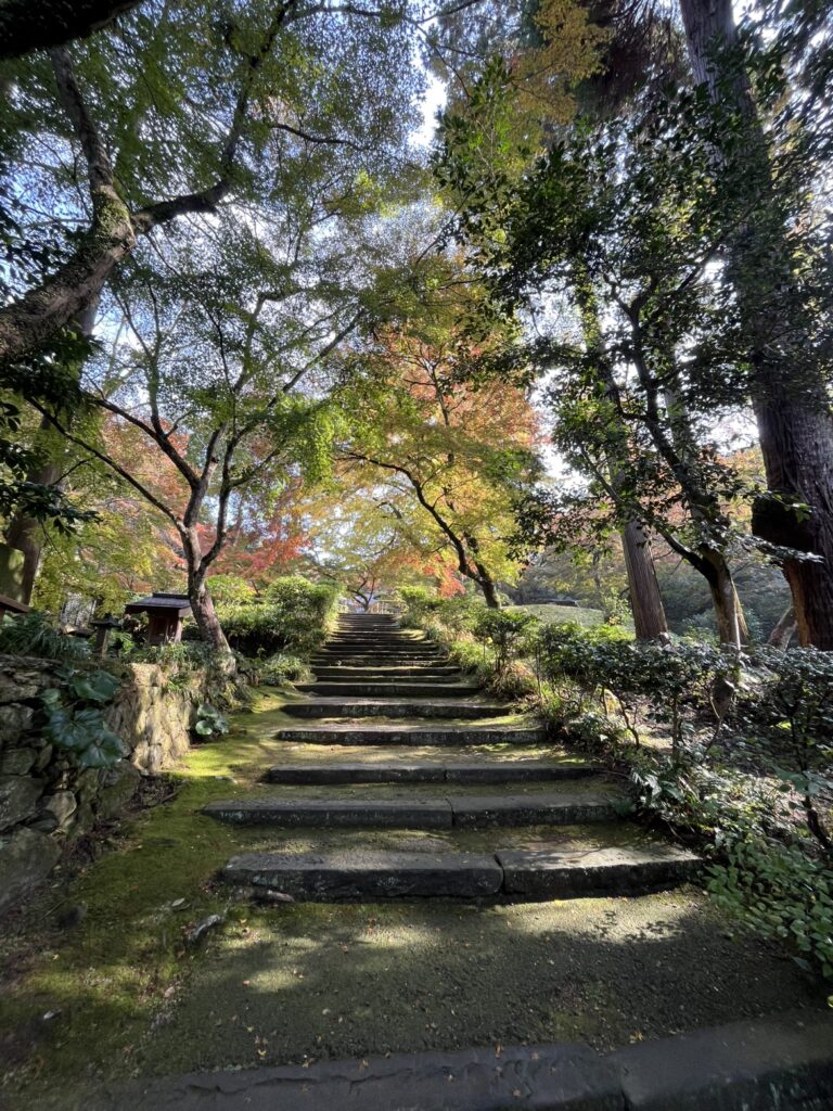 みやま市の清水寺に行ってきました🍁のイメージ画像
