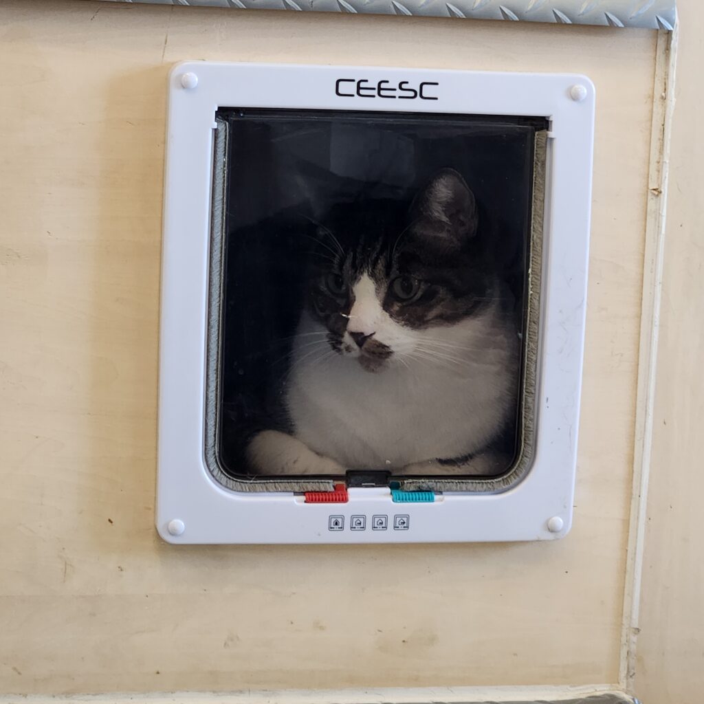 ねこねこ🐈吾輩はカフェネコ☕のイメージ画像