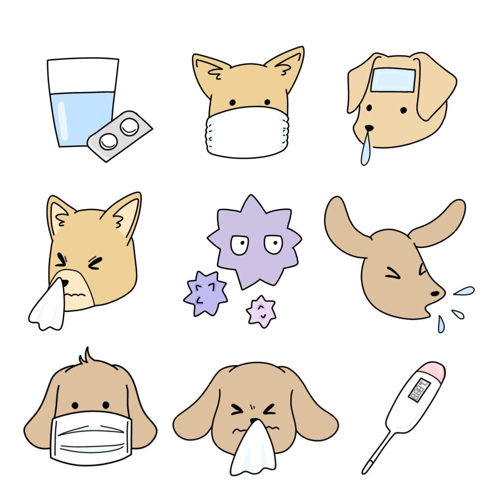 風邪・インフルエンザなどにご注意🤒のイメージ画像