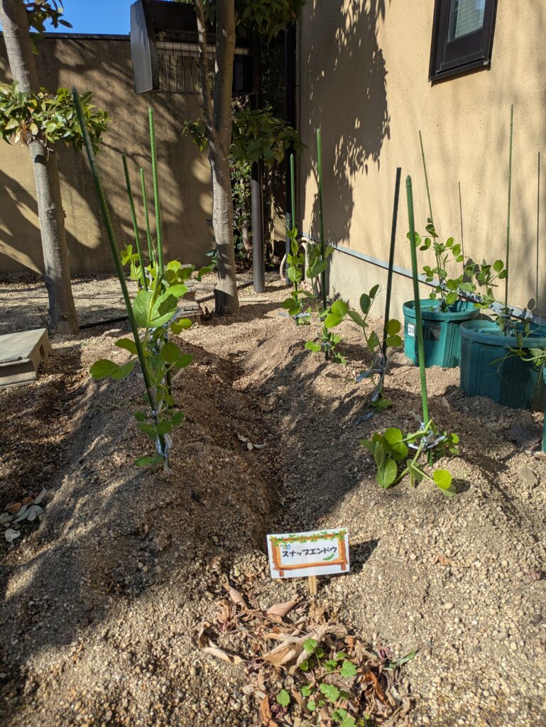 寒い中頑張っています⛄のイメージ画像
