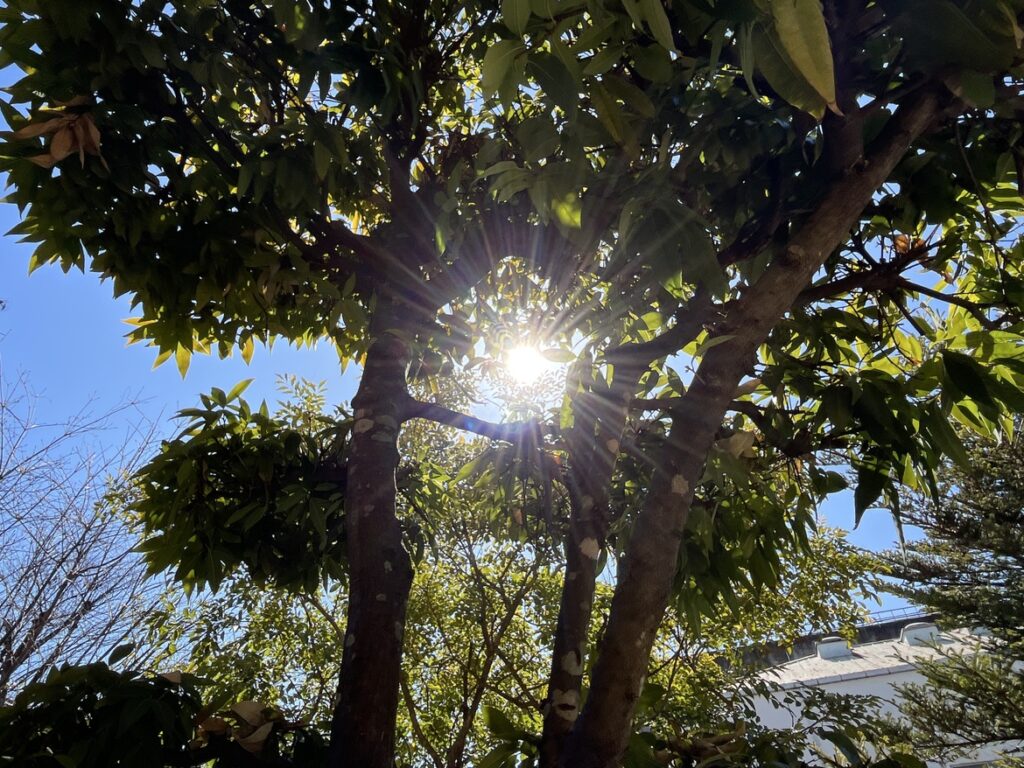 訓練スペースがもたらす力★自然を見ながらゆったりと🍁のイメージ画像