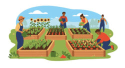 農作業が人を癒す✨ティオ大牟田築町独自の取り組み～農業体験プログラム～のイメージ画像