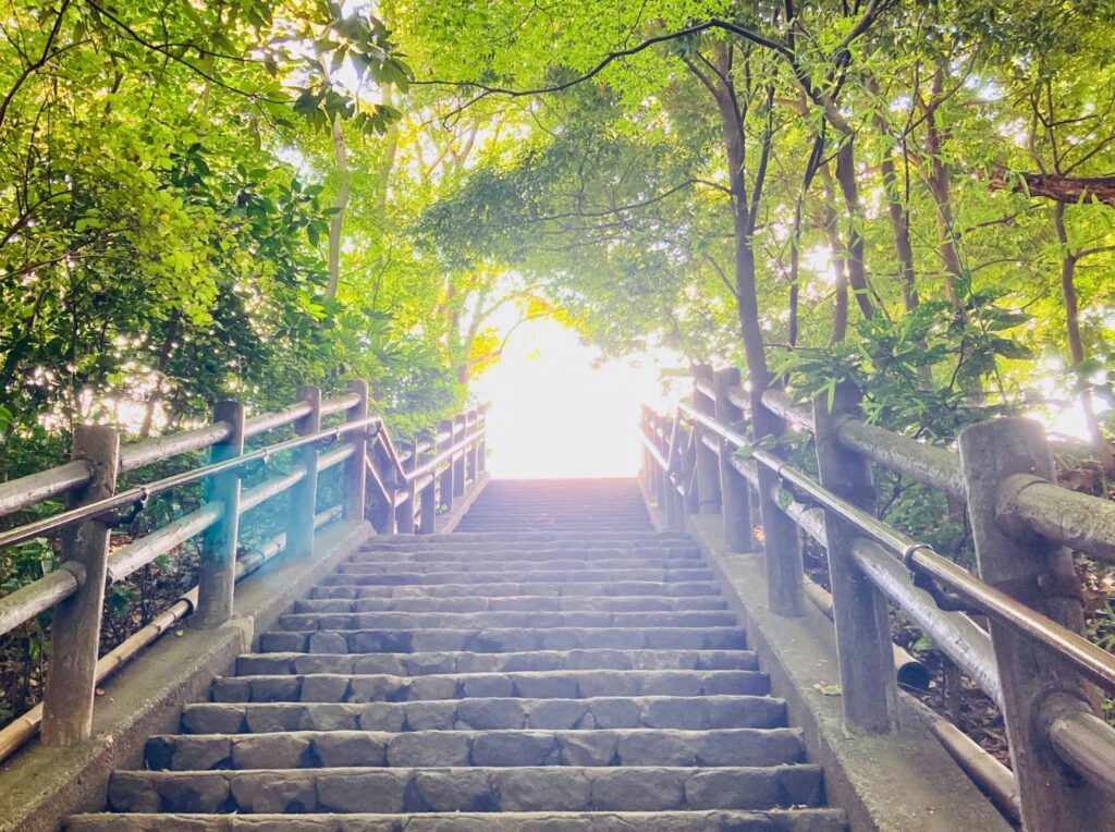 失敗を怖がらないためのやさしい考え方💛前向きに挑戦する心の整え方を意識してみませんか？のイメージ画像