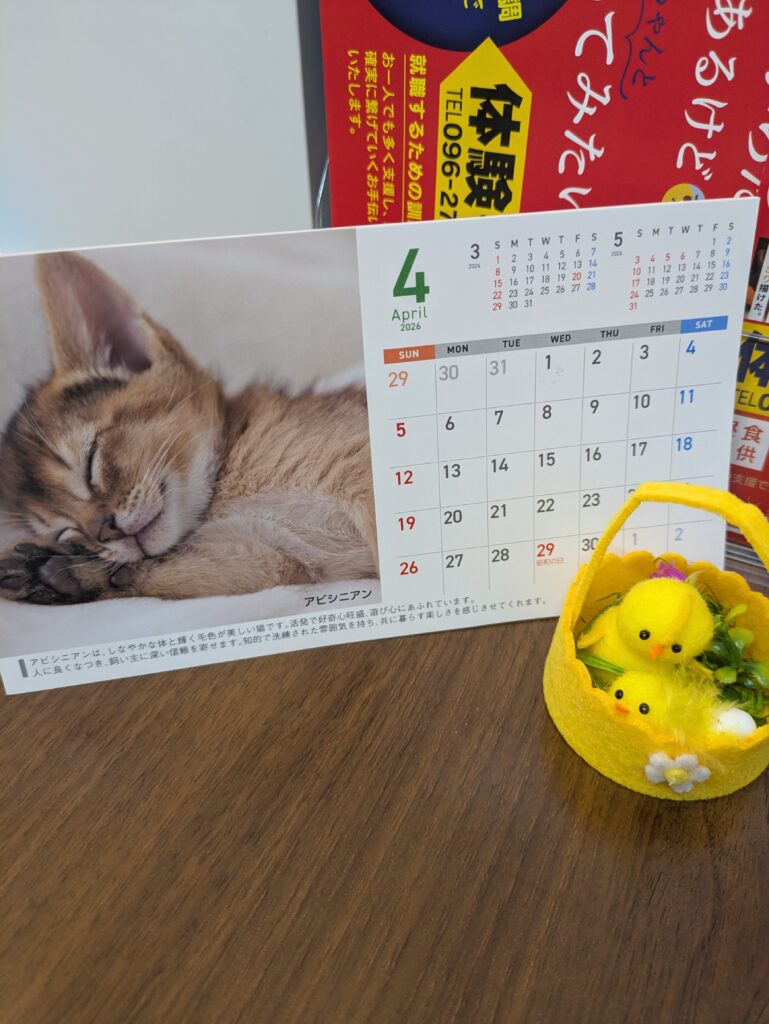 就労移行は「2年＋3年」で安心！4月から始める就職準備｜ティオくまもと新市街🌸🐣のイメージ画像