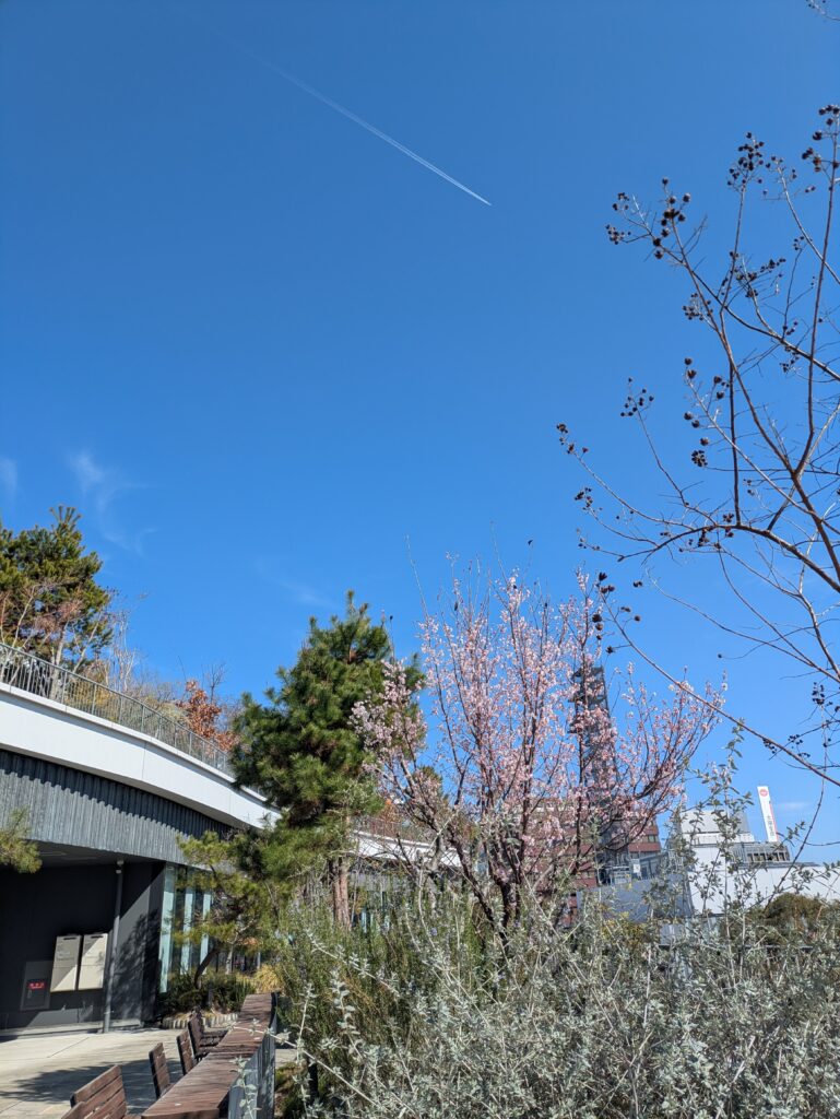 サクラマチ周辺で春探しウォーキング！くまモン誕生祭も見学してきました🌸のイメージ画像