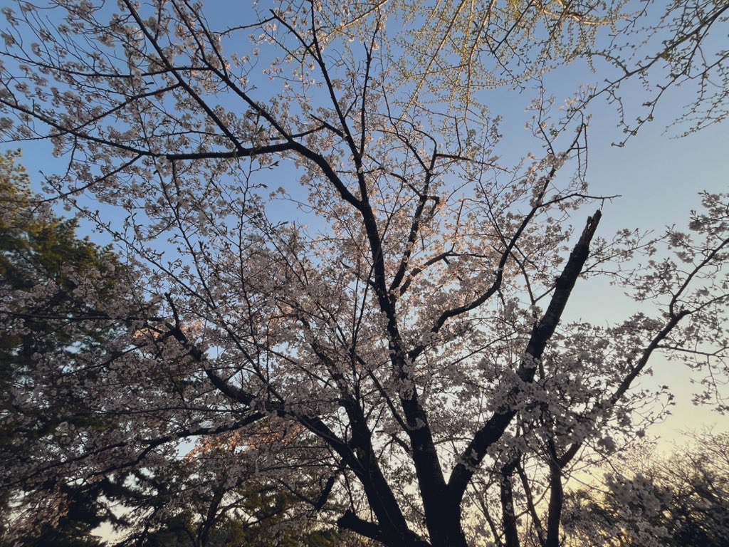 日常にある風景から見えてくるものと身に着くもの📷🌈のイメージ画像