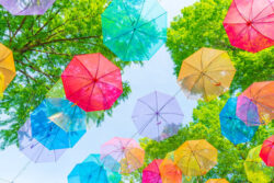梅雨時期でも安定したメンタルを保つ秘訣⭐のイメージ画像