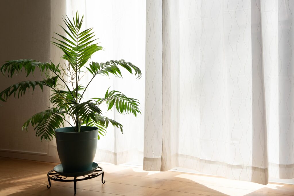 🌿就労移行支援は2年間利用できるけど、実際どれくらいで就職できる？のイメージ画像