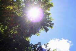 暑いからバテるだけじゃない⁉夏バテ対処法☀のイメージ画像