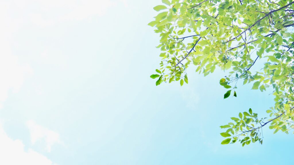 7月は再スタートの月｜就労移行でできる“ゆるい半年の使い方”📒🖊のイメージ画像