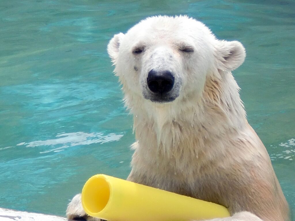 夏の暑さで外に出たくない…そんな時に無理せず行動的になれる秘訣とは!?のイメージ画像