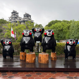 初めてでも楽しめました。熊本伝統工芸館へ行ってきました！のイメージ画像