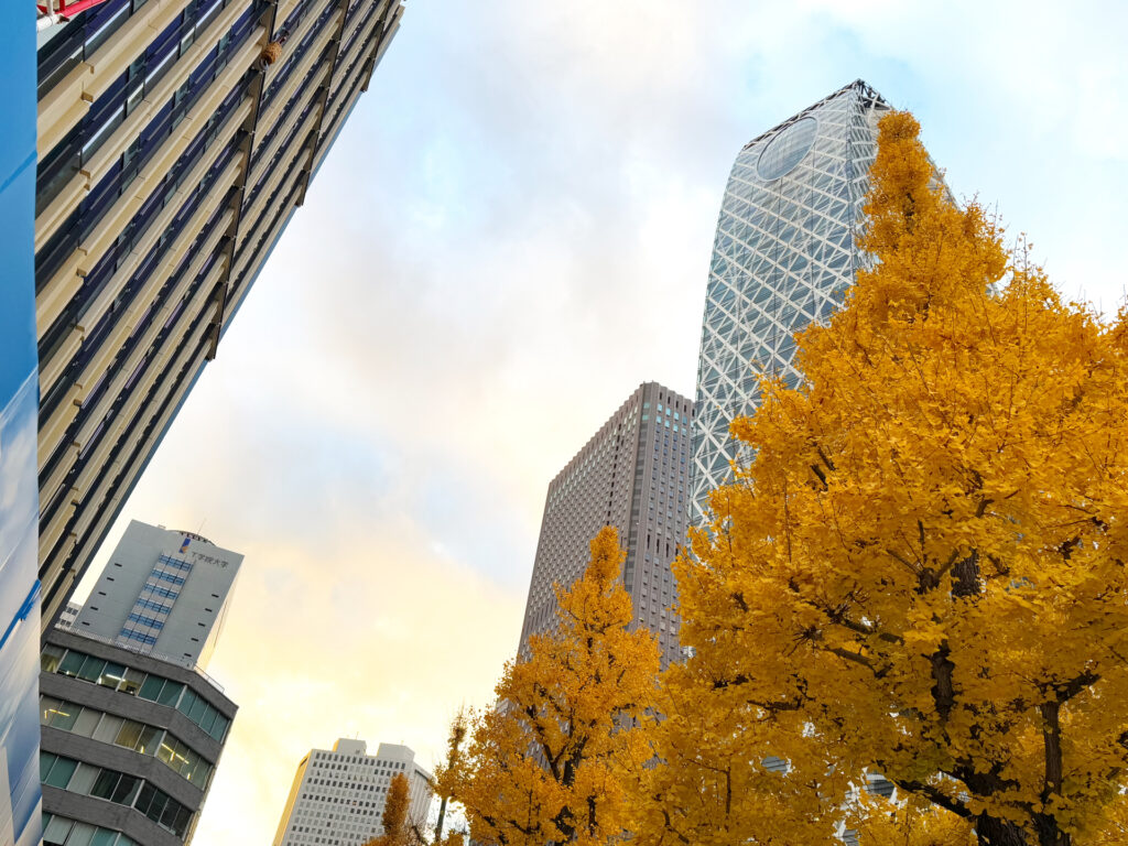 学びの秋、皆さんは何に取り組んでいますか？🍁のイメージ画像